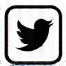 X (Twitter) social media icon.
